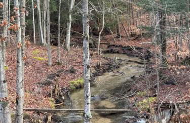 New, Spacious and charming, with a river view, conveniently located near skiing and golf - Foto 7