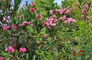 Allin home - Foto 14