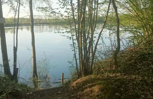 Apartment Apartment Laurence by Interhome - Foto 34