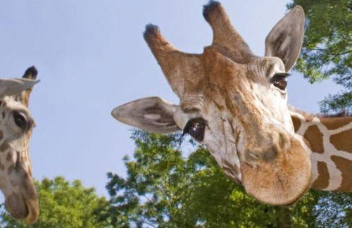 Welcome - BUSINESS or PLEASURE! Southampton 'City Vibes' # Stylish Apartment with Outdoor Courtyard! 1-4 Guests BOOK YOUR CITY BREAK or PRE-CRUISE STAY! CLOSE TO MAYFLOWER THEATRE, UNIVERSITIES, CRUISE TERMINALS, HOSPITALS & SHOPS! - Photo 42