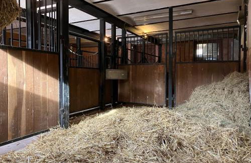 Elegante Maisonette Wohnung - Foto 17