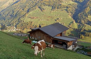 Ortnerhof - Photo 20