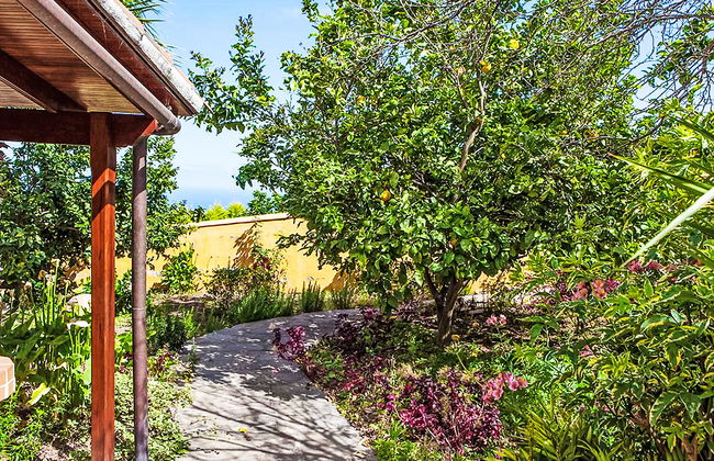 Camino La Candelaria - Photo 15