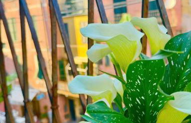 Cegi's home - Foto 23