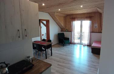 Bieszczadzki Horyzont Apartamenty - Photo 54