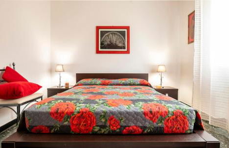 Chiwi's Home - Photo 11