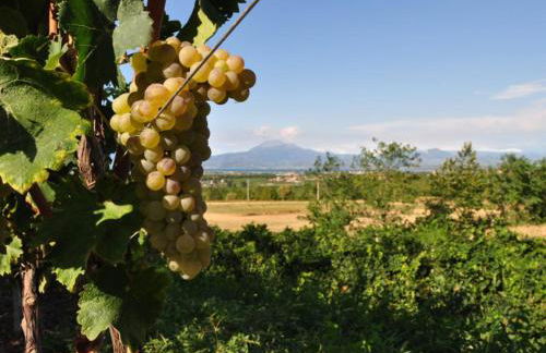 APPARTAMENTO ELENA - Foto 29