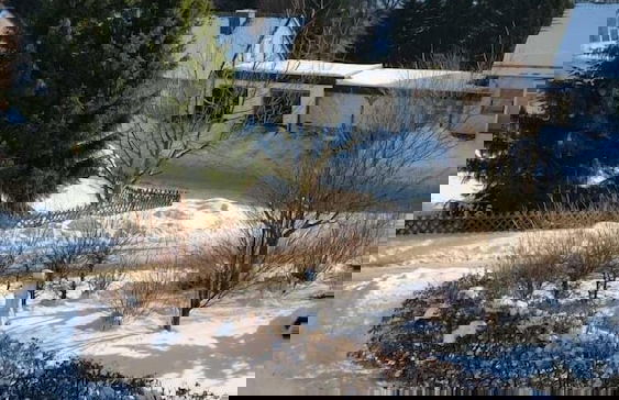 Fewos 4-Jahreszeiten - Foto 26