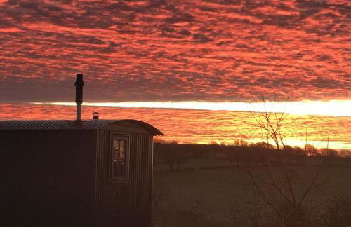 Novelist Shepherd's hut - Foto 9