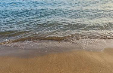 Hermes Grove - Foto 12