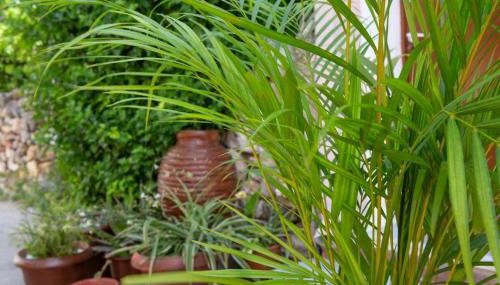 Enetiko Apartments - Foto 5