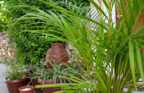 Enetiko Apartments - Foto 5