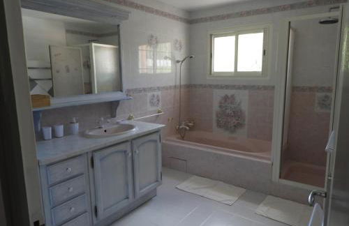 Le lavandin - Photo 18