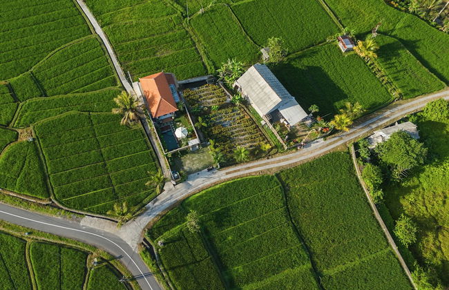 Wisana Villa Sebatu by Uniquecations - Foto 29