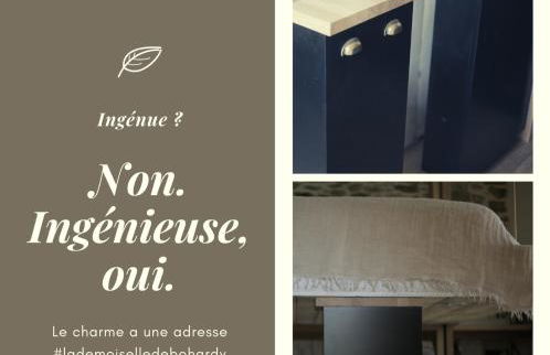 La Demoiselle de Bohardy - Photo 33