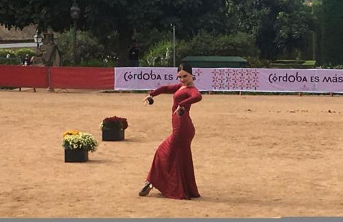 Geysotur Zoco Córdoba - Photo 23