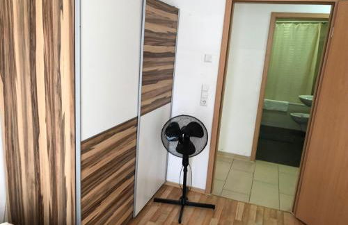 Sahara Falcon - Photo 132