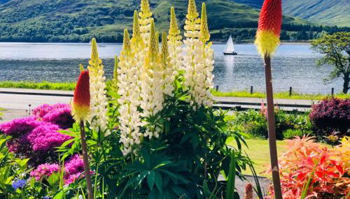 Hillview Guest House - Foto 4