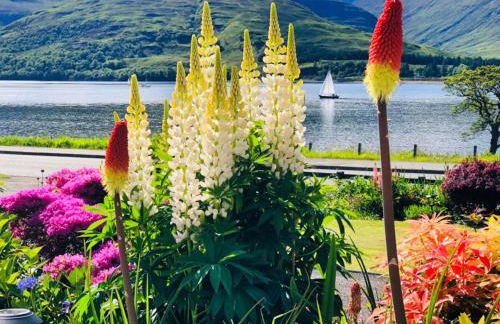 Hillview Guest House - Foto 4