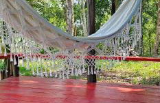 Premium Amazon Jungle Lodge - Foto 46