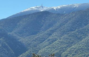VILLA PROCHE VENTOUX et VAISON LA ROMAINE avec piscine privée - Foto 1