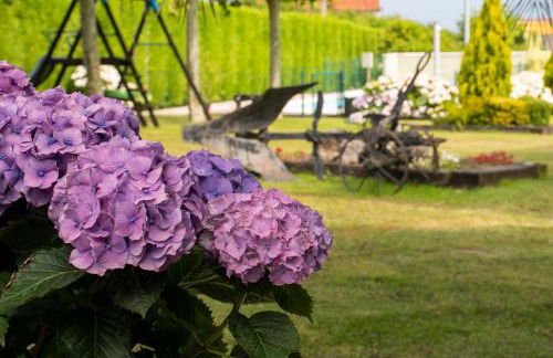 Complejo rural Alhelí - Apartamentos y habitaciones - Foto 21