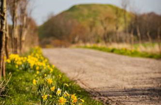 The Farm at Avebury - Foto 28