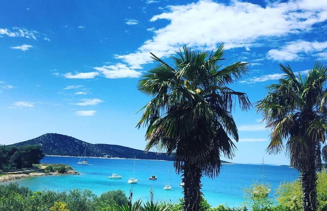 Delfin - sea View - A3 Zeleni - Foto 9