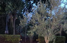 Paisible Duplexe sur Villeneuve d ascq - Foto 15