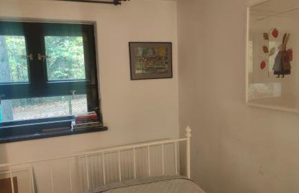 Kamińsko 544 - Foto 41