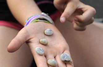 Maison de vacances 3 chambres à 400 m de la plage Kairon - Saint Pair sur mer - Foto 23
