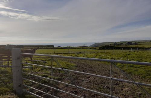 Wellfield Cottage - Photo 38