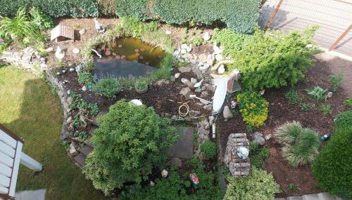 Fewo Singler - Foto 5