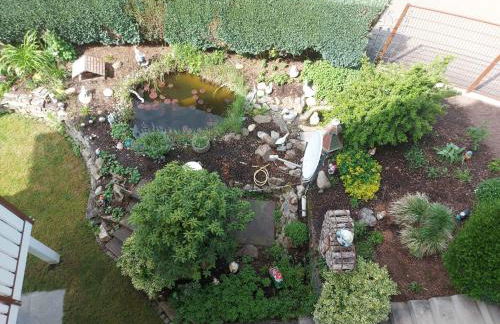 Fewo Singler - Foto 5