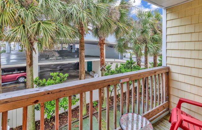 Island palms - Foto 18