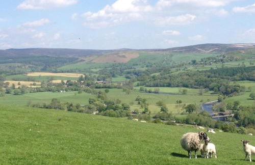 Dog-Friendly Cottage, Skipton, Thisledo Holiday Cottage - Foto 23