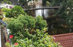 Altstadtapartment an der Krämerbrücke - Foto 8