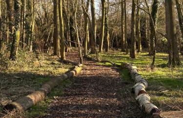 Unique Suffolk Cabin with Countryside Views - Foto 17