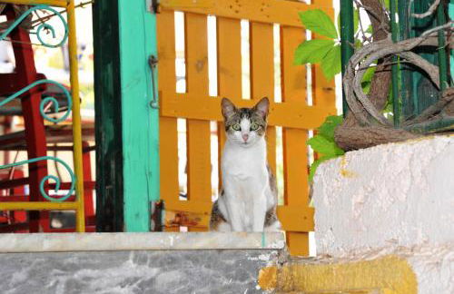 Erofili Rooms - Foto 32