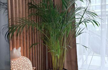 Shellter Bael Apartamenty - Foto 17