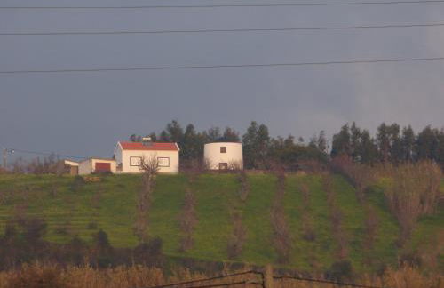 Meu Moinho - Foto 16