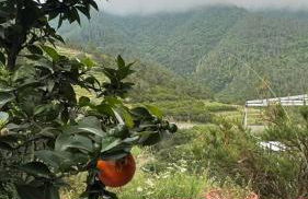 Cinque Terre - House & Garden Paradise - Foto 34