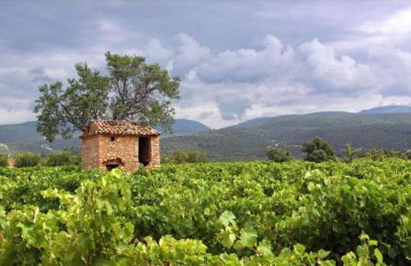 Maison dans les vignes - Foto 25