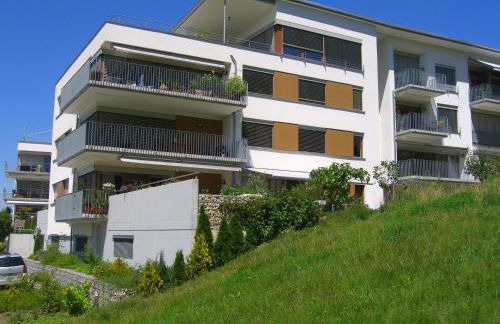 Baselblick - Foto 14