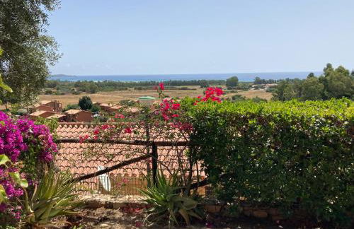 Villa Michela - Photo 5