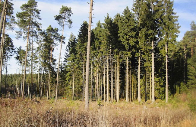 Apartments, Lissendorf - Foto 77