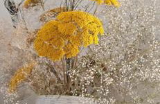 Stephanie Residence - in the heart of Alps above Varenna, Lake Como - Foto 12