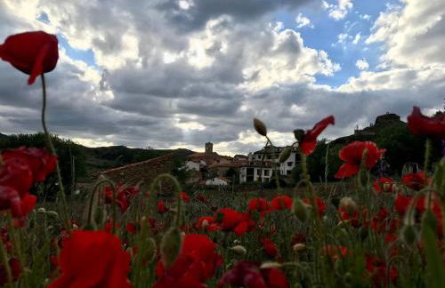 Apartamento Rafa - Foto 40