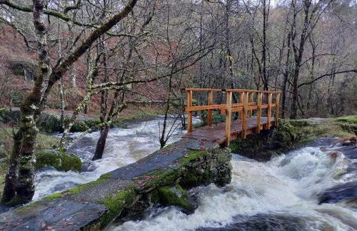 La casa de Angel y Olimpia - Photo 47