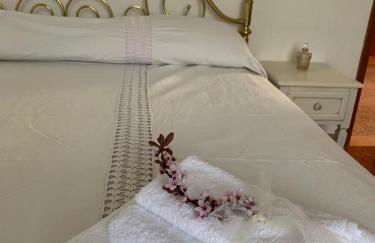 Nonna Nesti - Foto 11